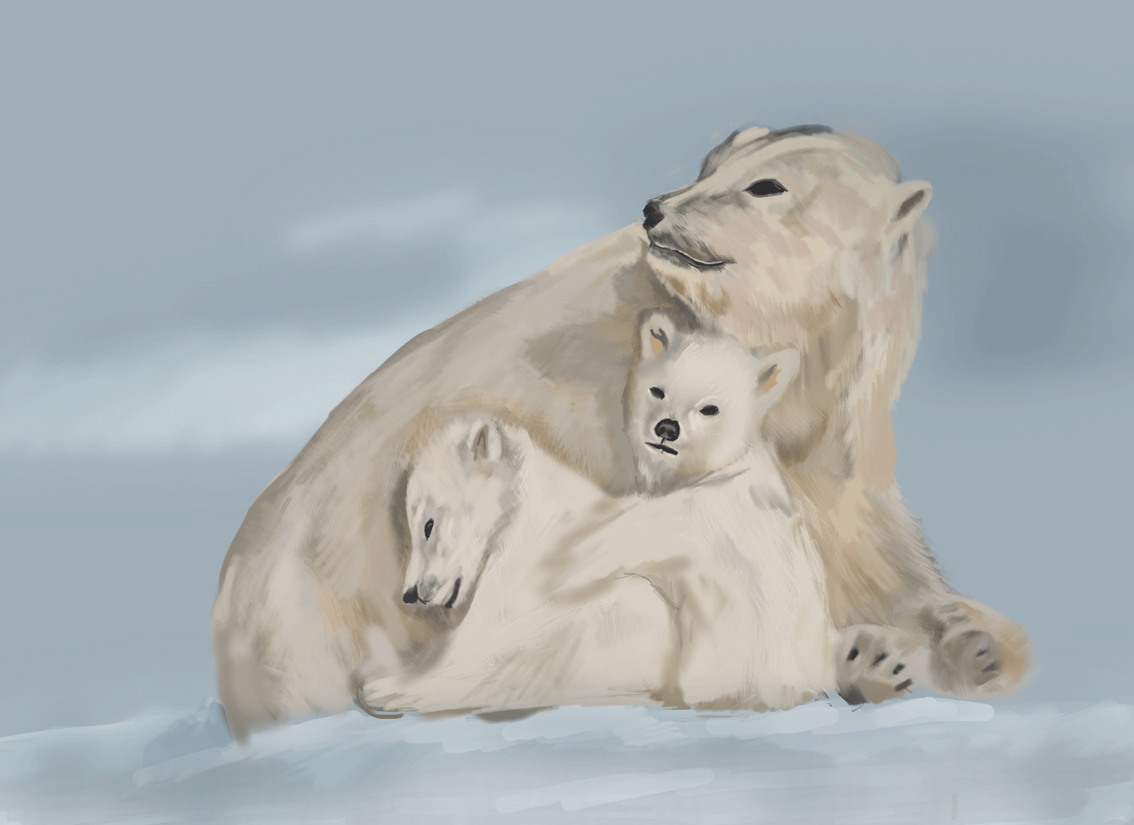 Polar Bears, 2019