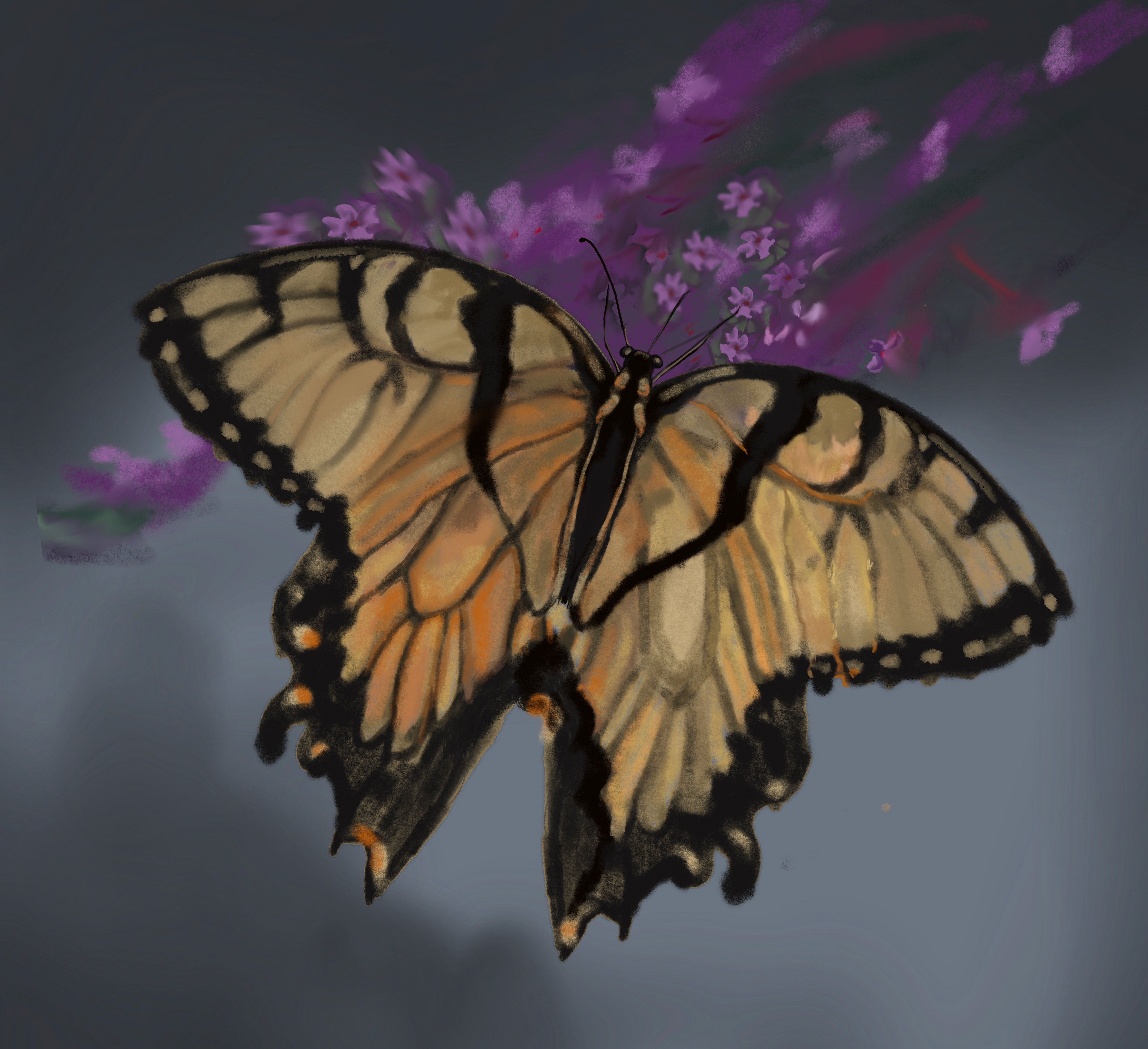 Butterfly, 2020