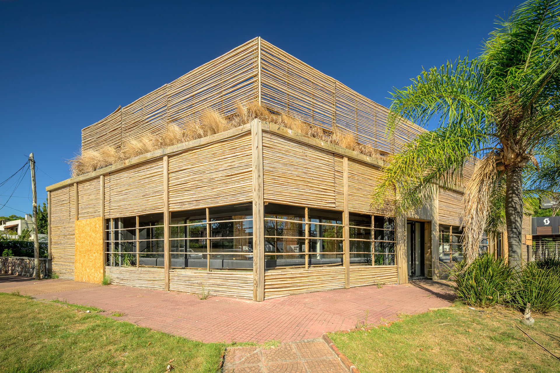 Arocena y Pedro Murillo