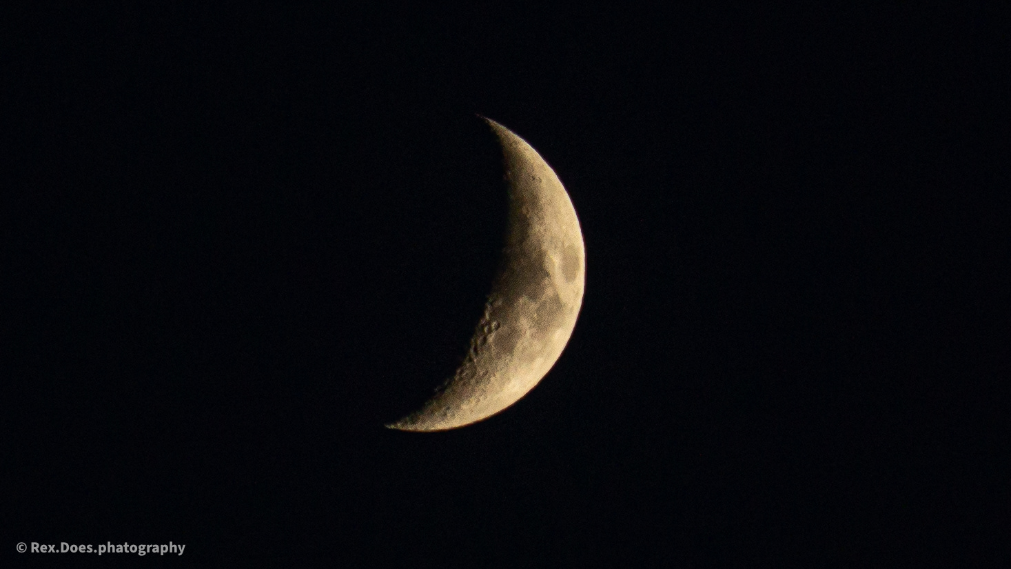 A warm shot of the moon