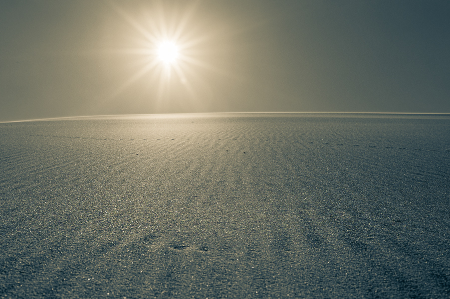 Derrière les dunes 9