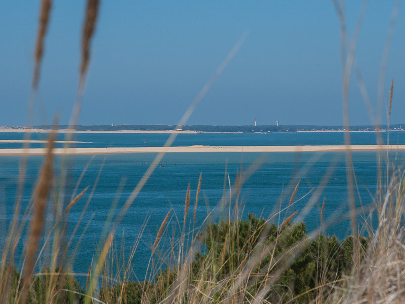 Cap Ferret