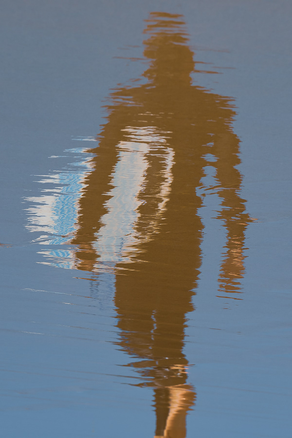 Reflet