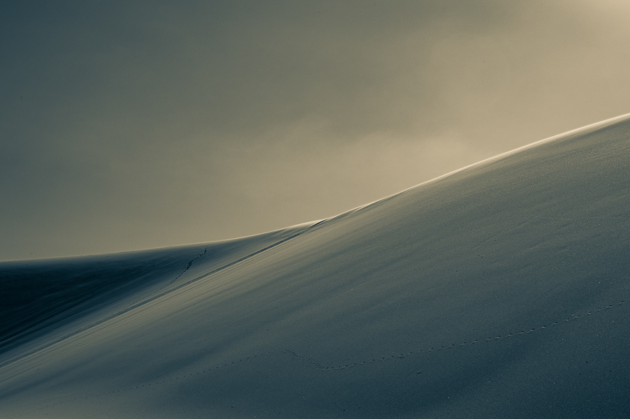 Derrière les dunes 1