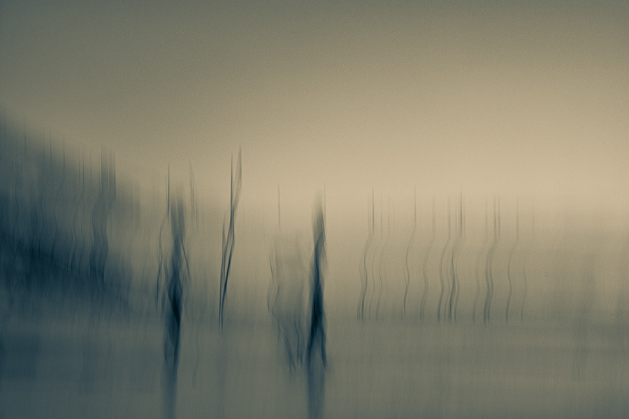Derrière les dunes 6