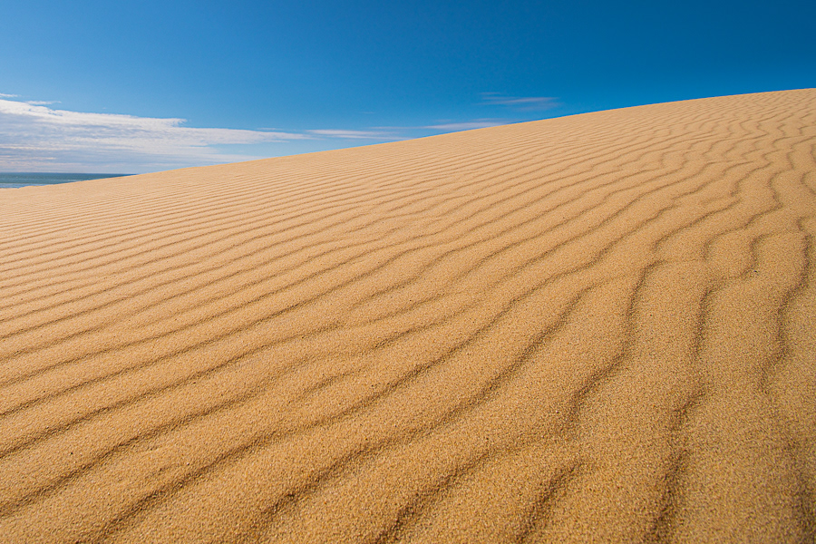 Lignes