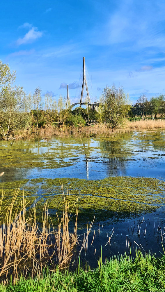 Blick auf die Brücke.