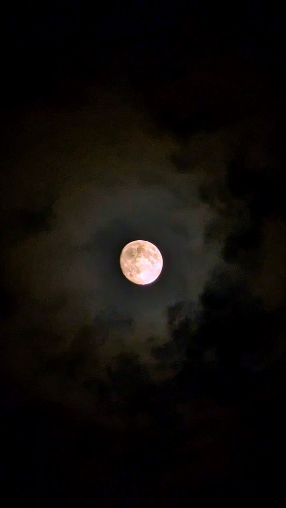 Der fast volle Mond unterstützt uns bei der Suche.