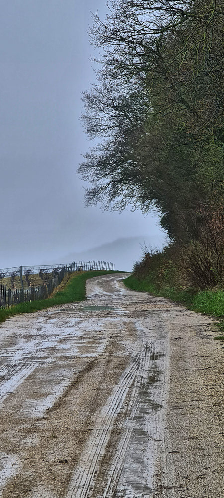 Beim zweiten Teil wurden die Wege besser.