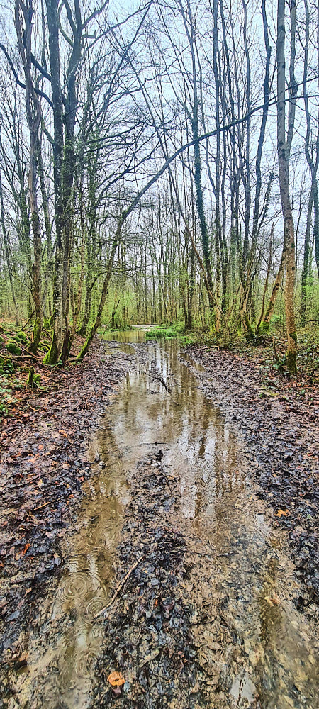 So sahen die Wege auf dem ersten Teil der Runde aus.