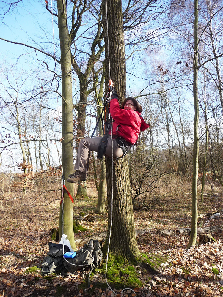 chinalili bei ihrem ersten Kletterversuch.