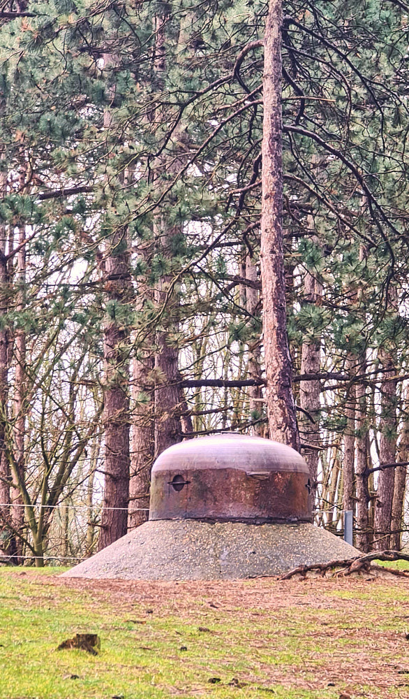 Überreste eines Bunkers.