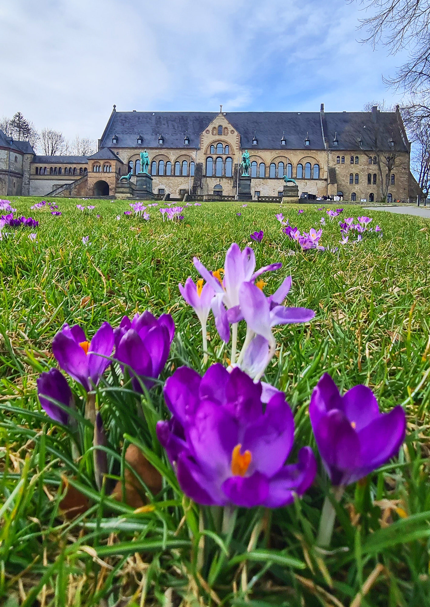 Frühling in der Kaiserpfalz