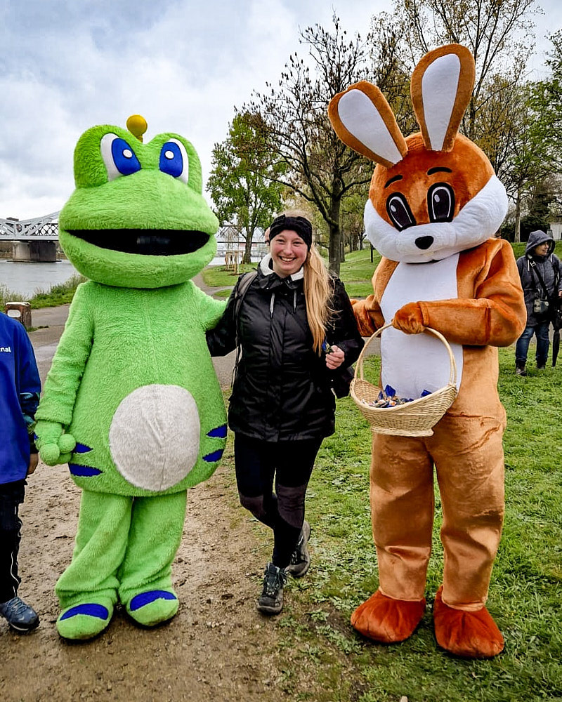 Signal, Teddy und Hasi