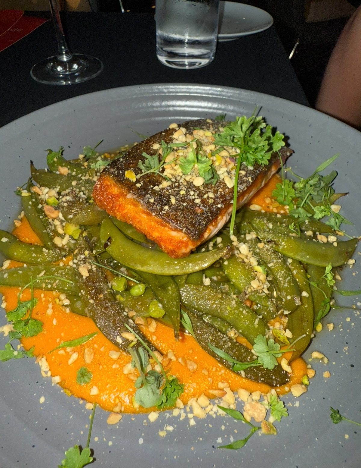 Salmon