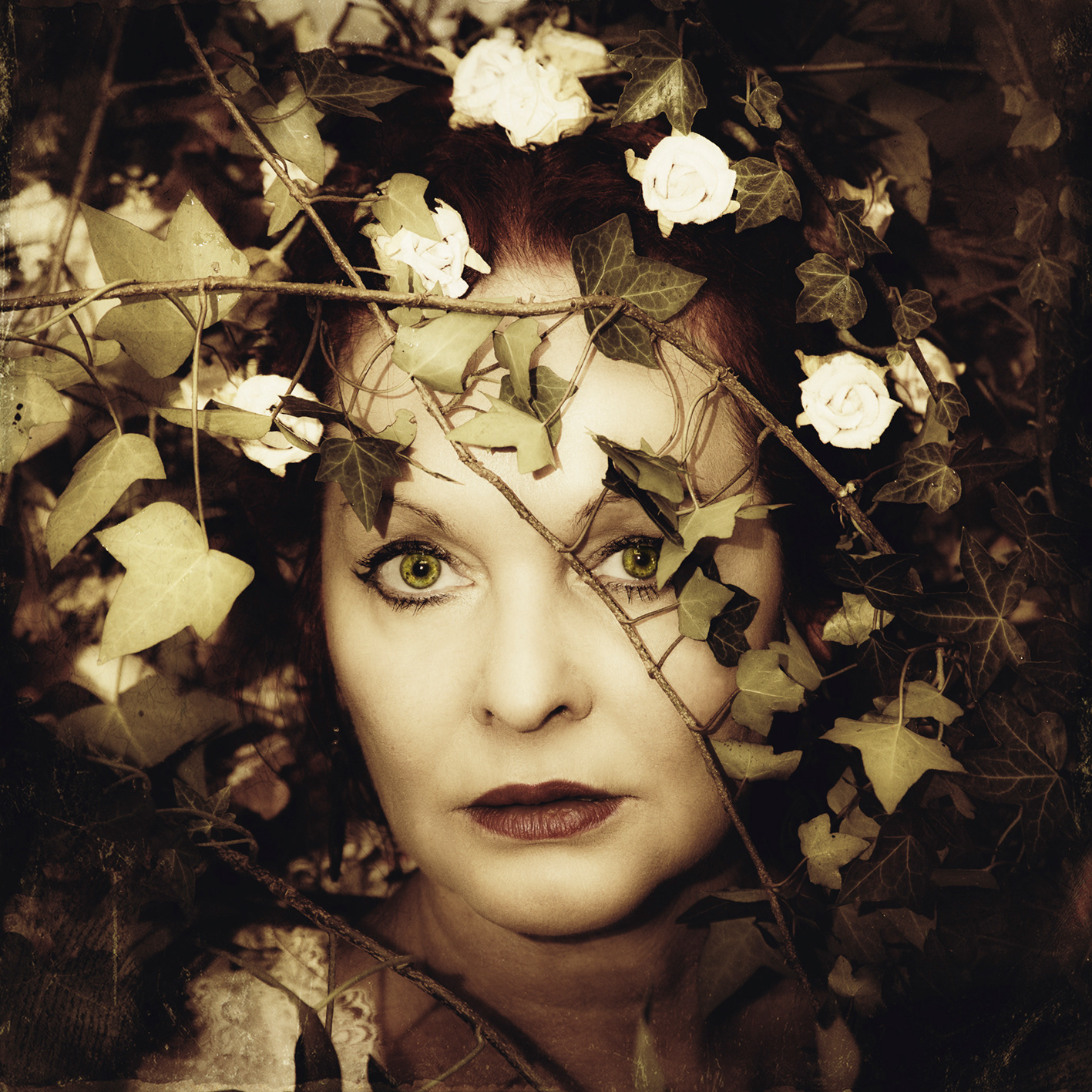 The Vines