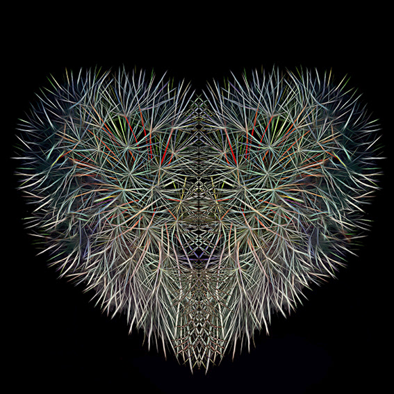 The Spikey Heart