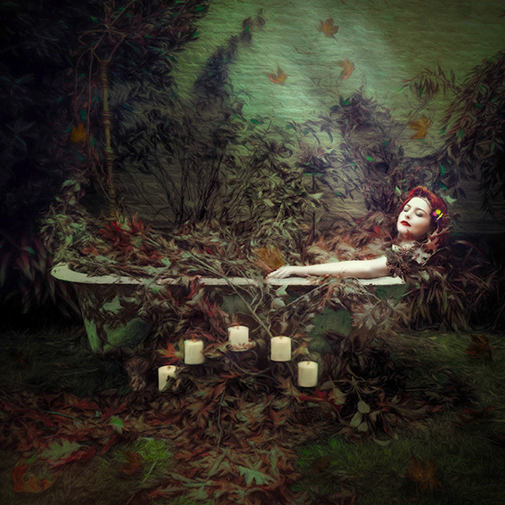 The First Leaves of Autumn