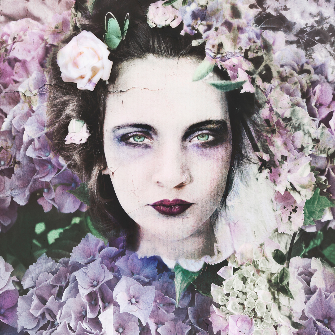 Spring Blooms