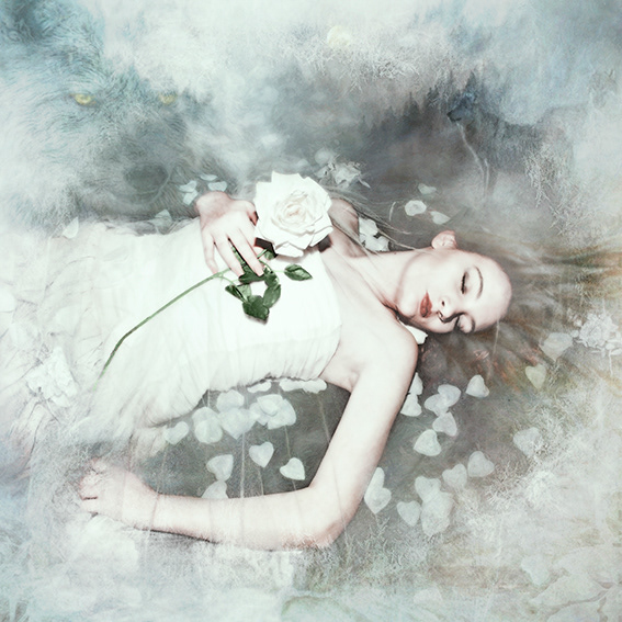 To Sleep Perchance to Dream