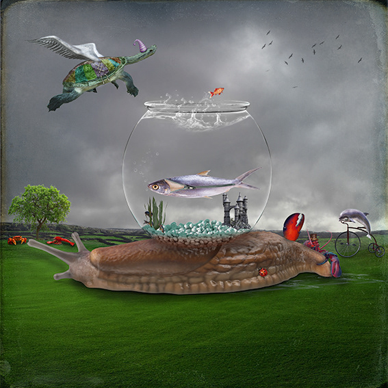 The Lobster Quadrille