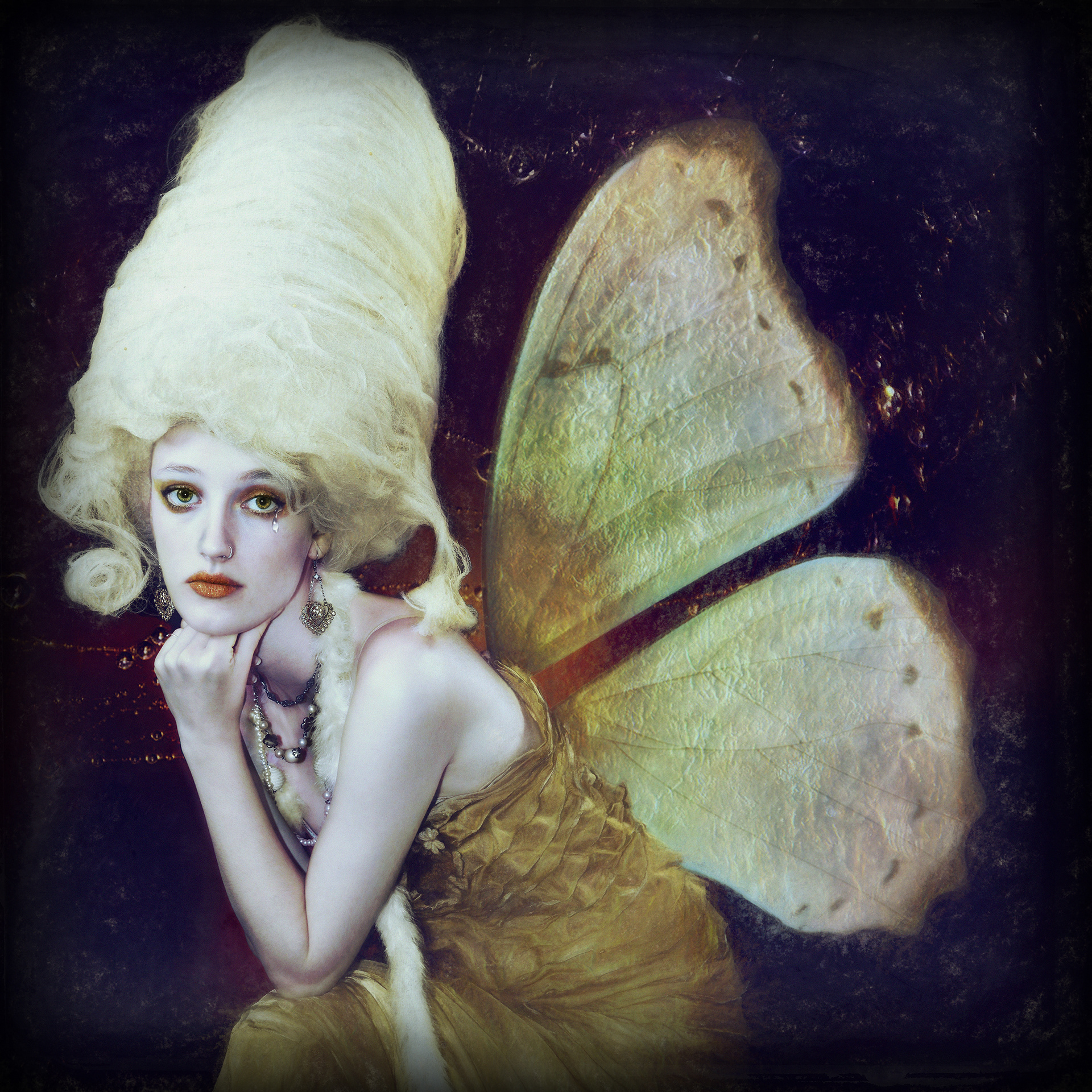 Spread your wings