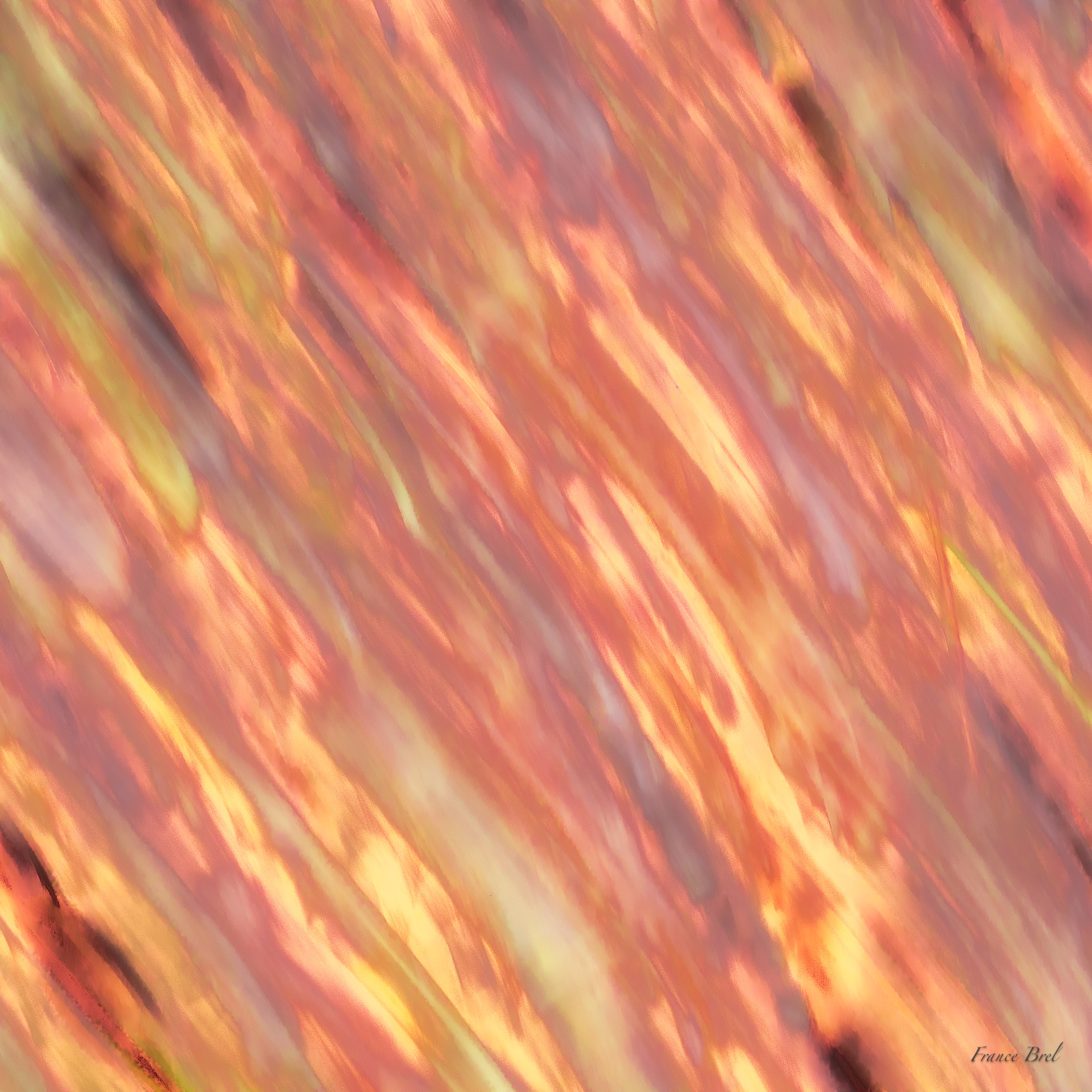 ABSTRACT N° 5