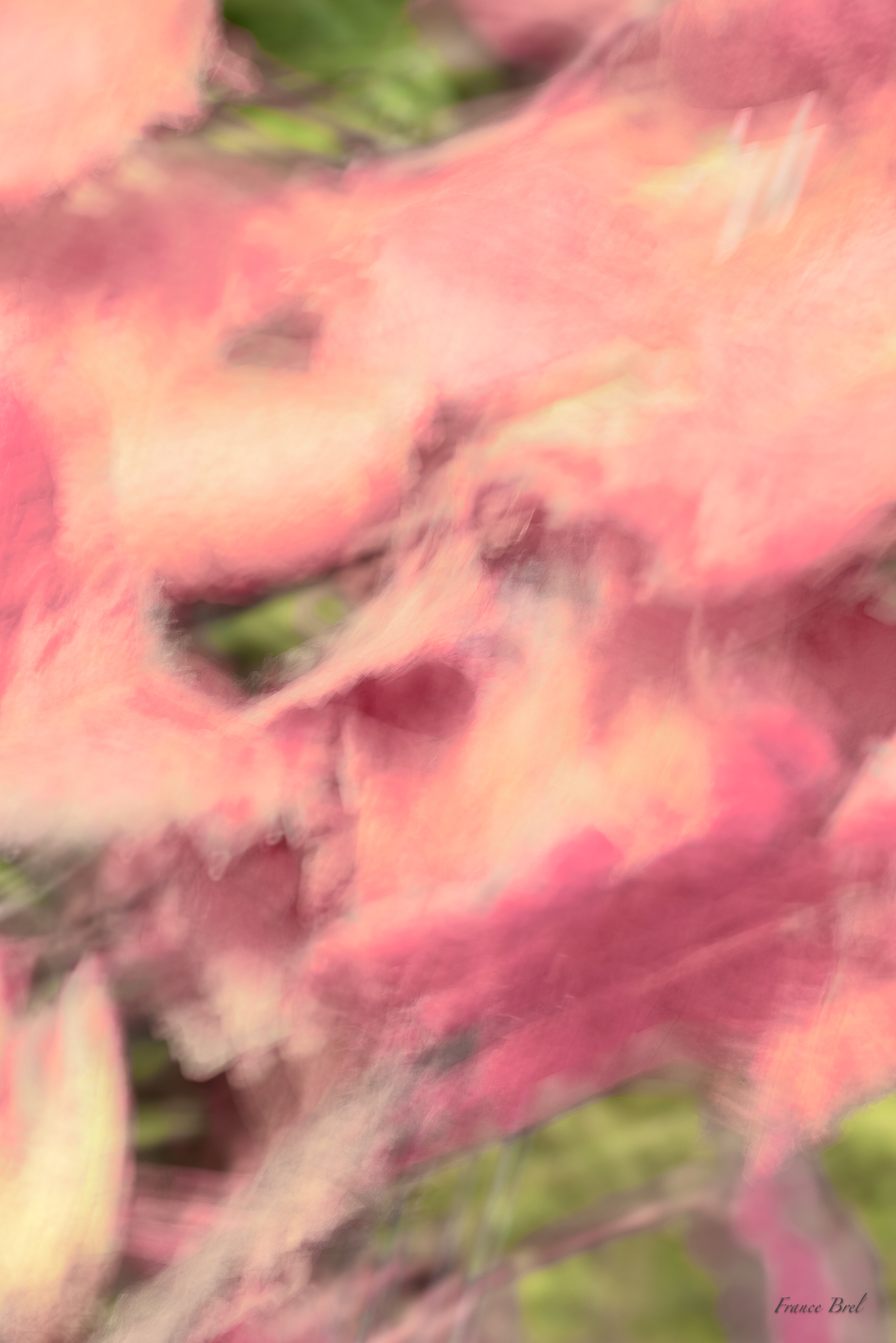 ABSTRACT N° 3