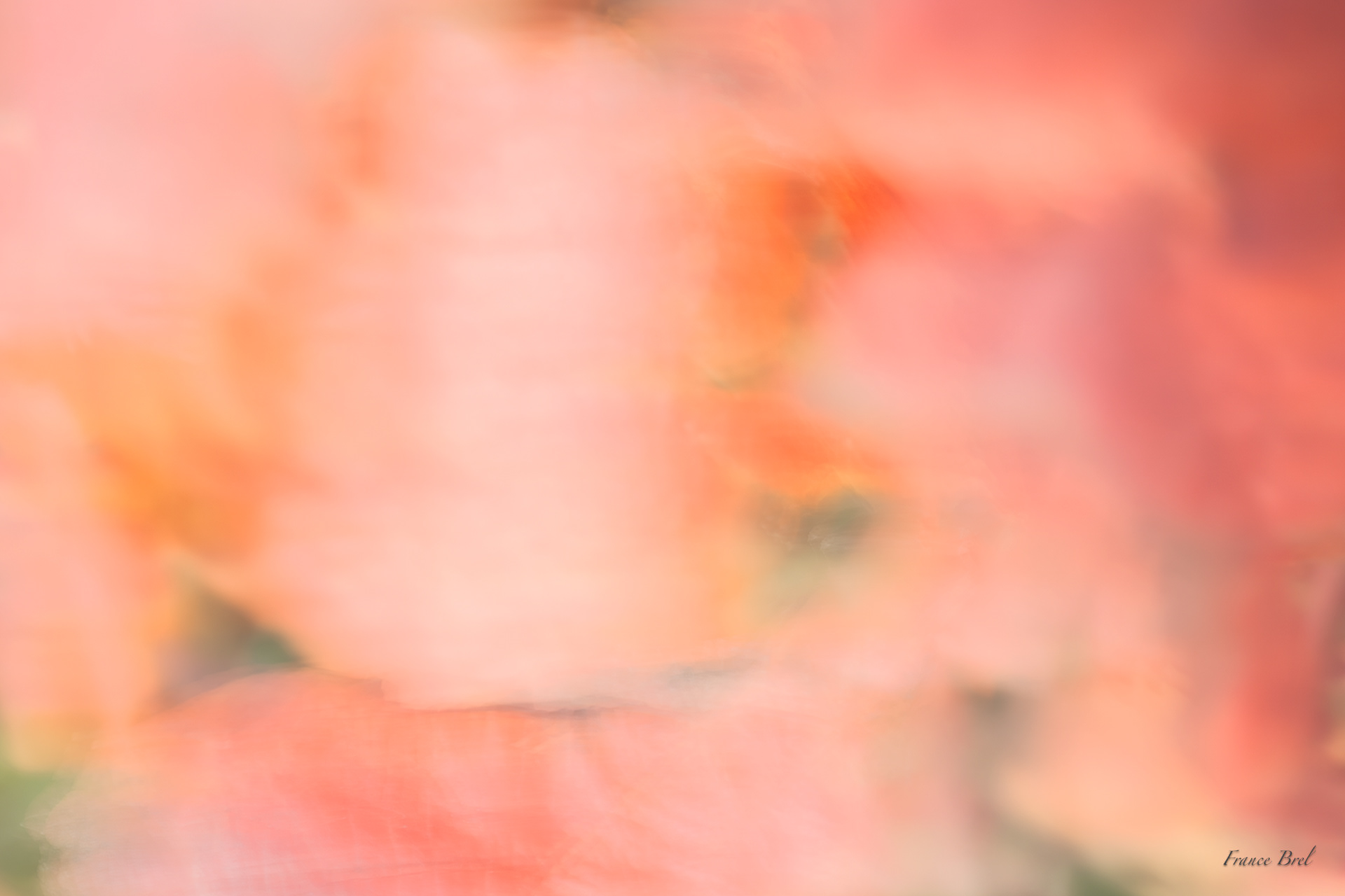 ABSTRACT N°  4