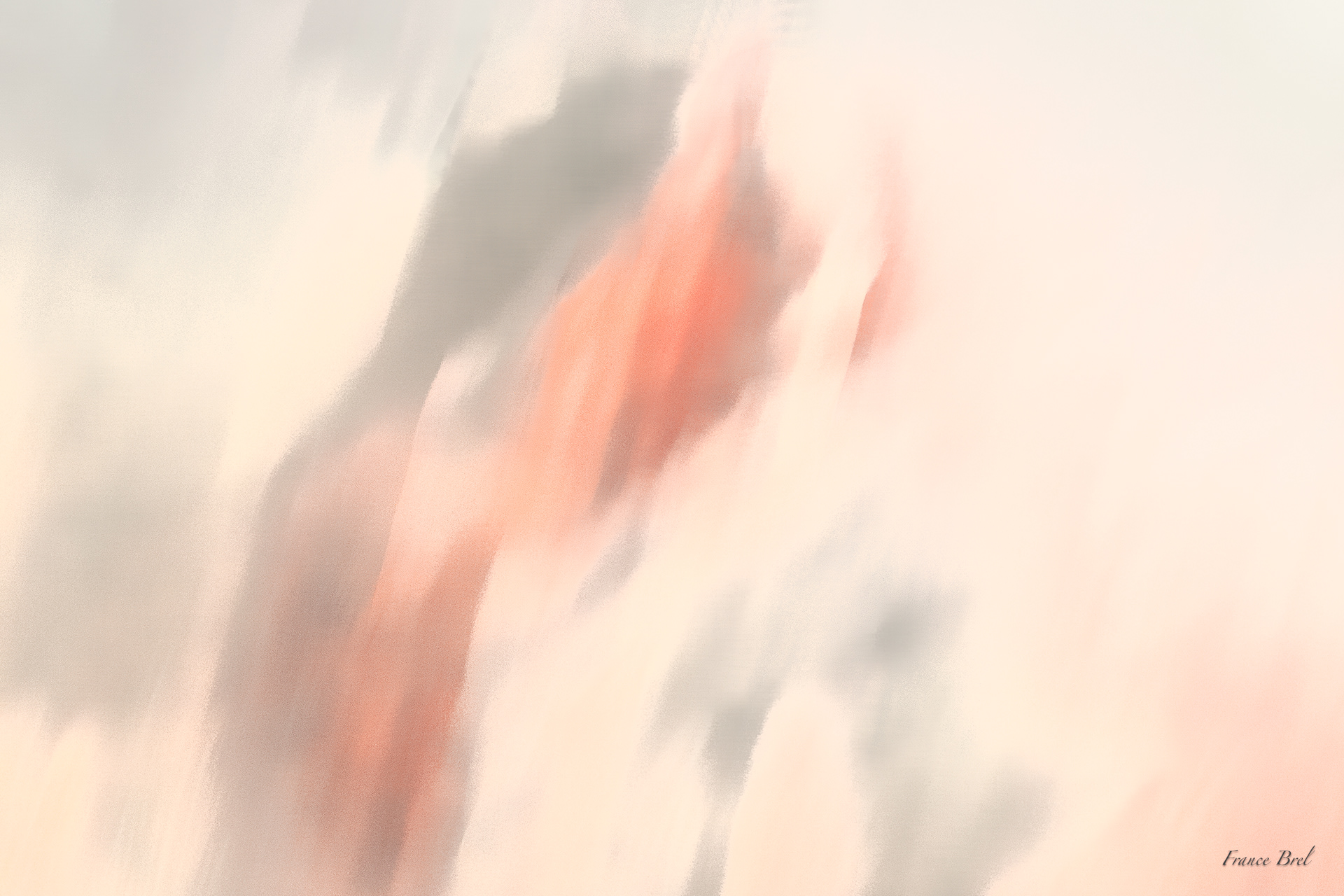 ABSTRACT N° 1
