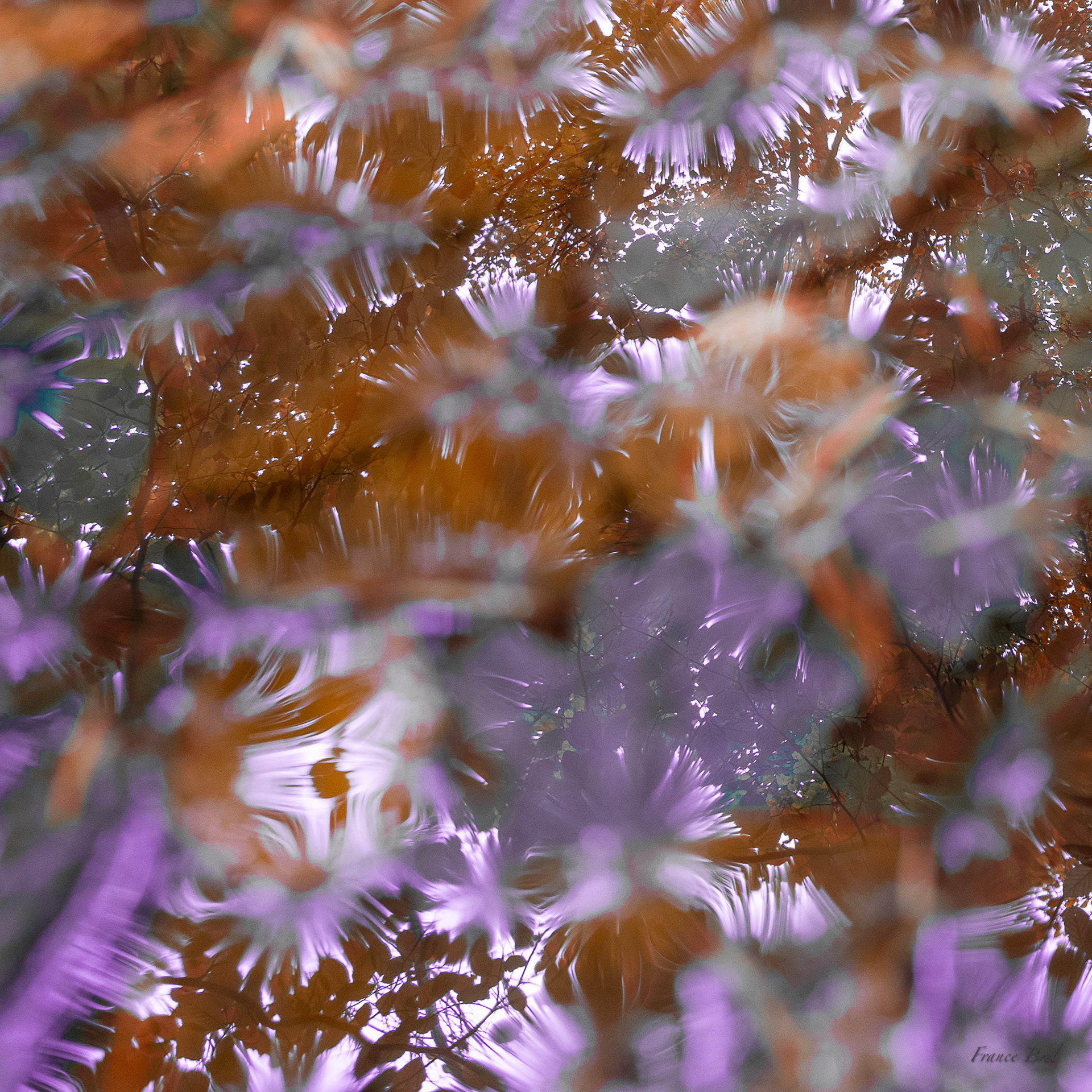 ABSTRACT N°  6
