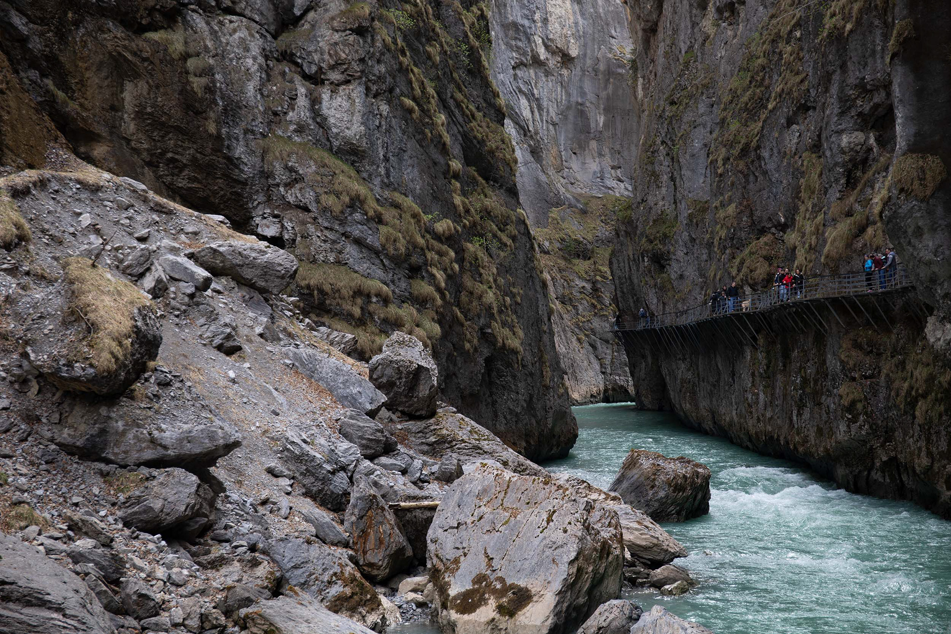 Aareschlucht