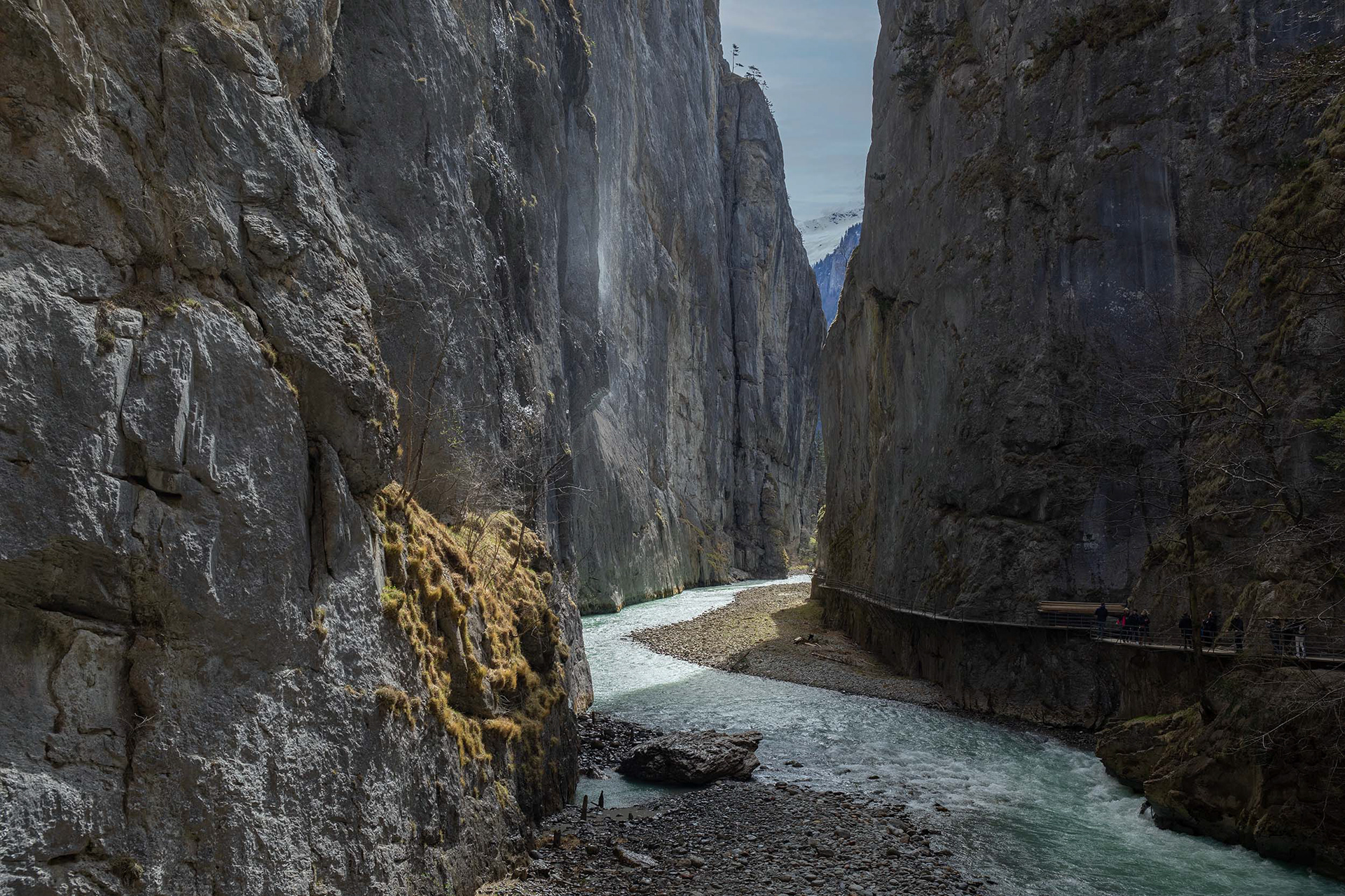 Aareschlucht