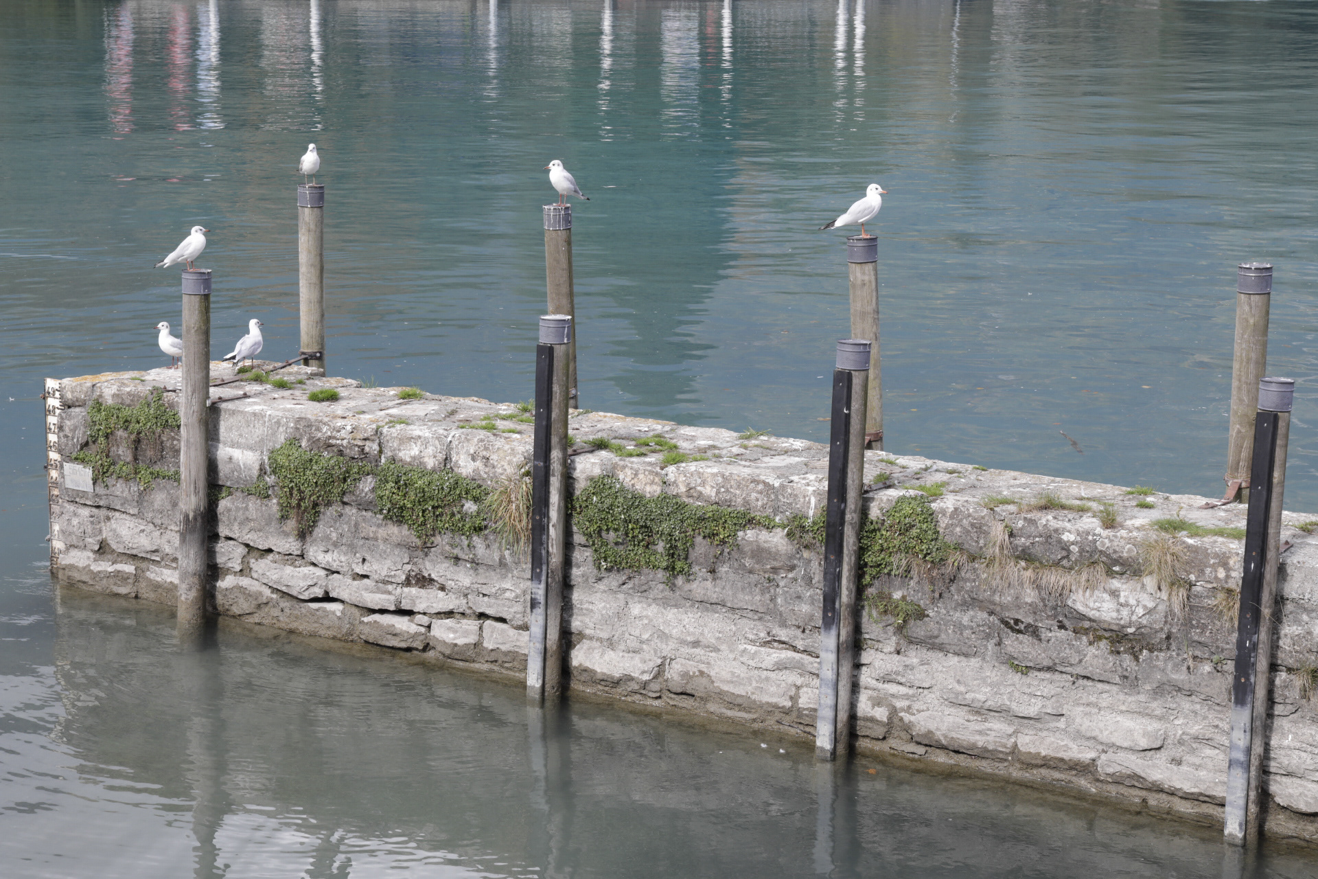 Brienzersee, CH