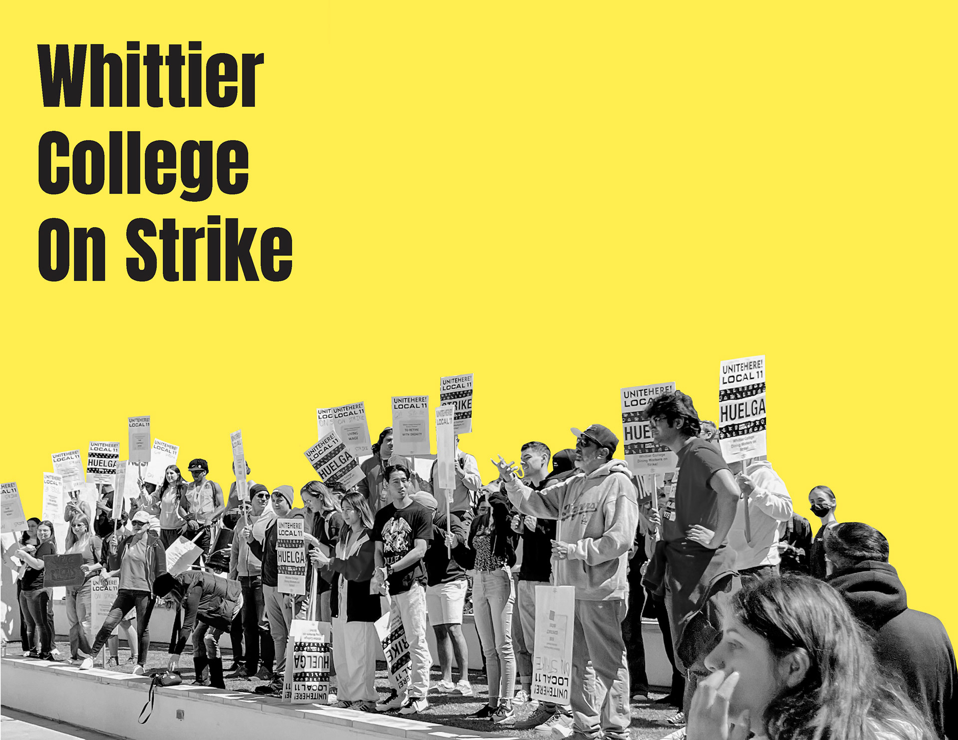 Zine (Digital Format)