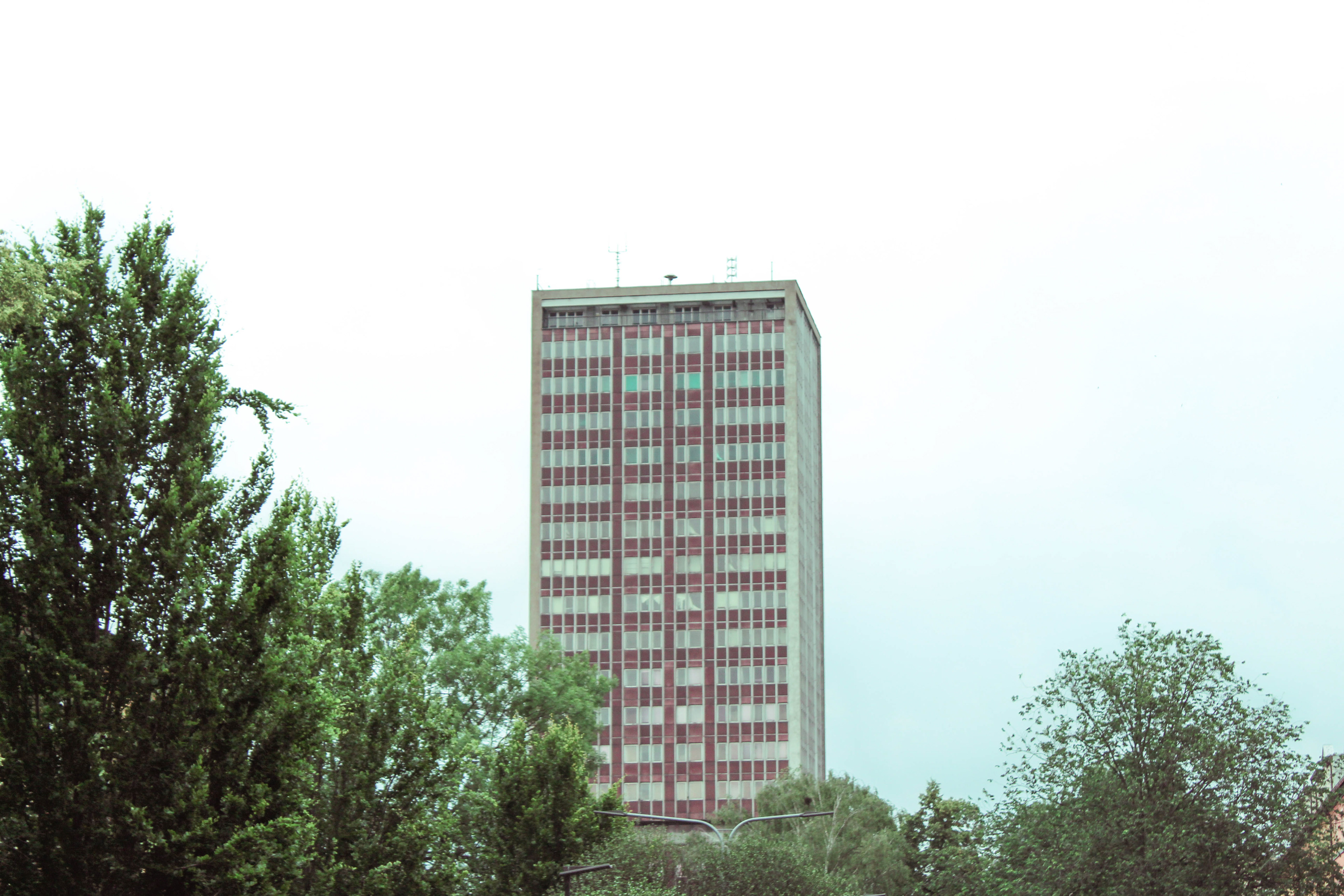 Jindřiška