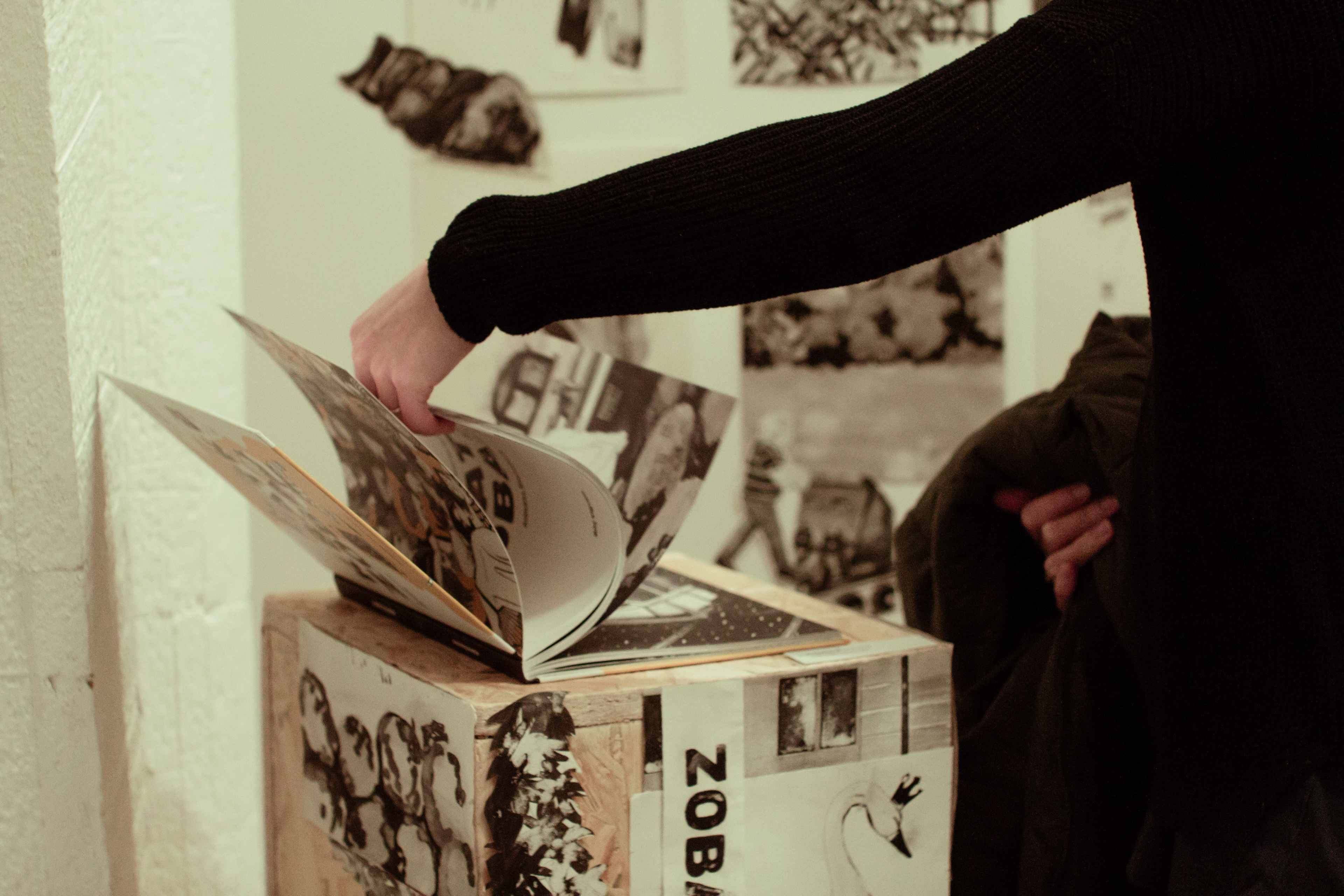 exhibition: the roots