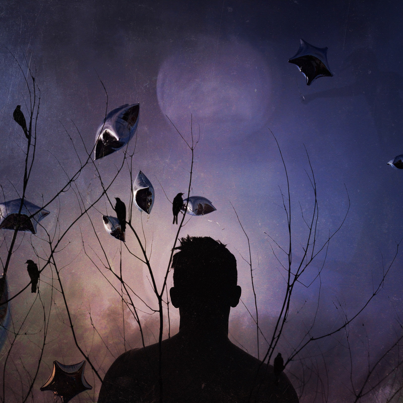 The Dreamer Is Still Asleep