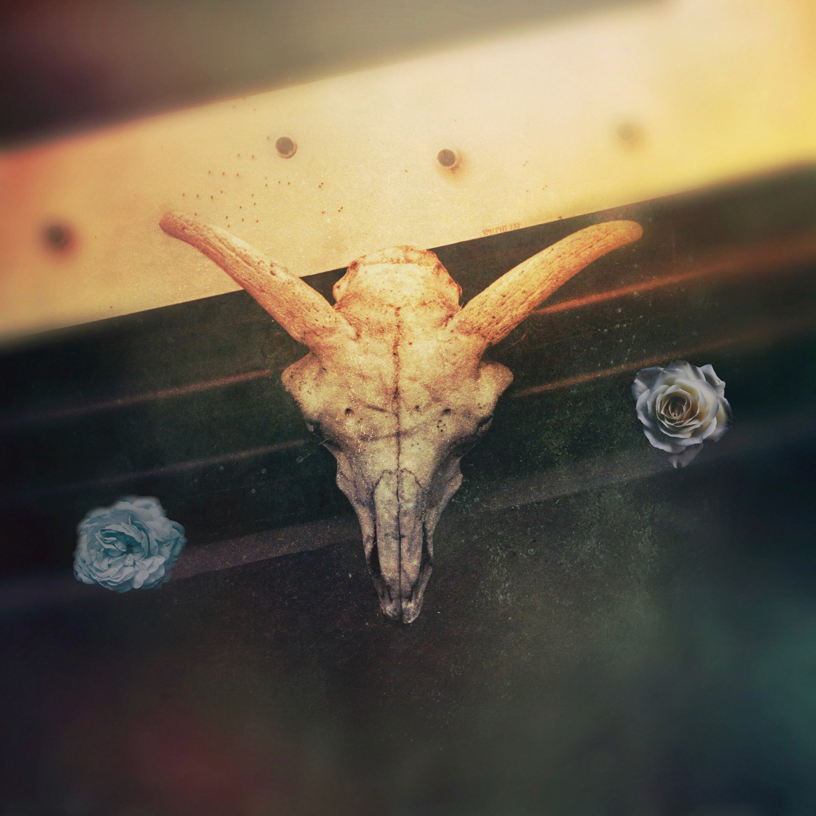 The Voyeur of Utter Destruction