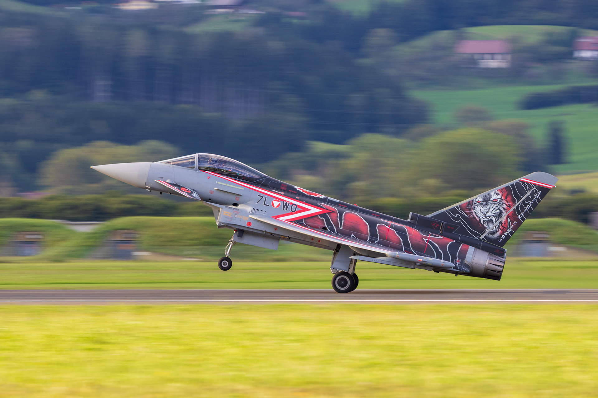 Austrian EF2000 Eurofighter in special colours