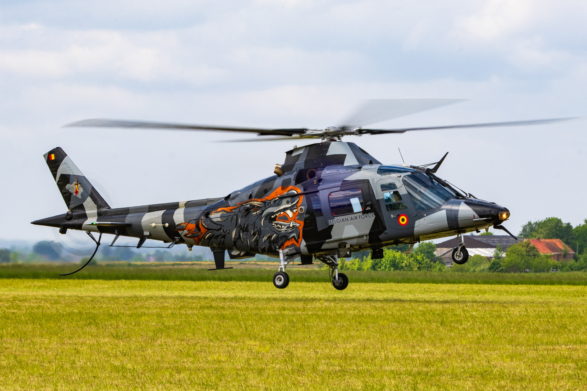 Belgische Luchtmacht Agusta A109 met een speciaal drakenmotief livery in laagvlucht.