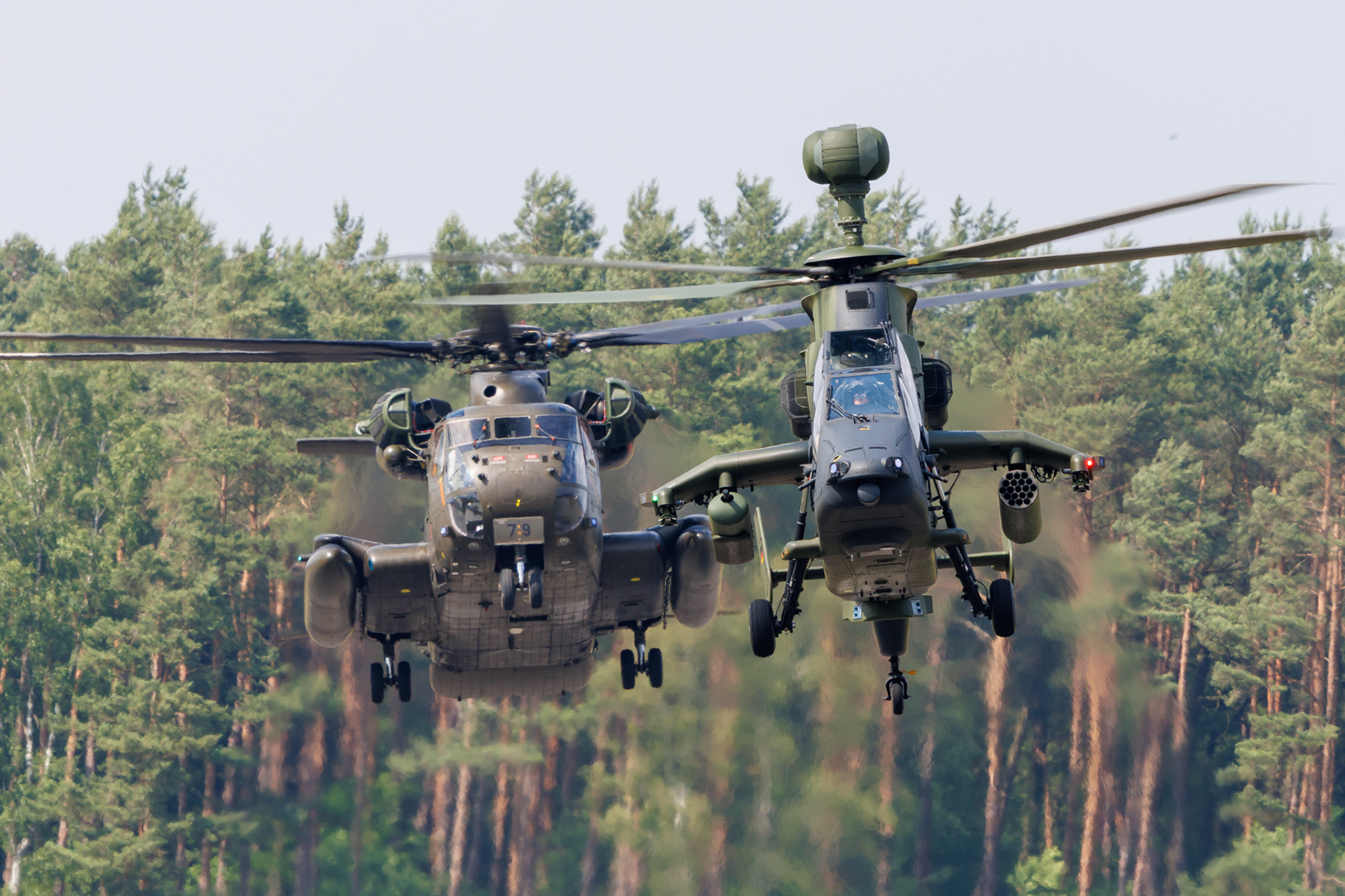 Een CH53 en Tigre komen aan om te landen tijdens de Tag der Bundeswehr in Fassberg in 2024.