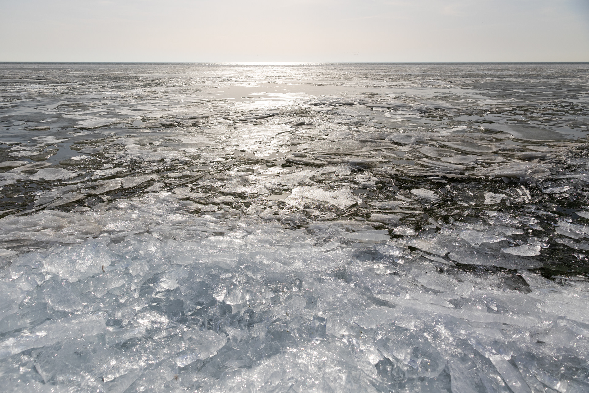 IJsschotsen op het IJsselmeer.
