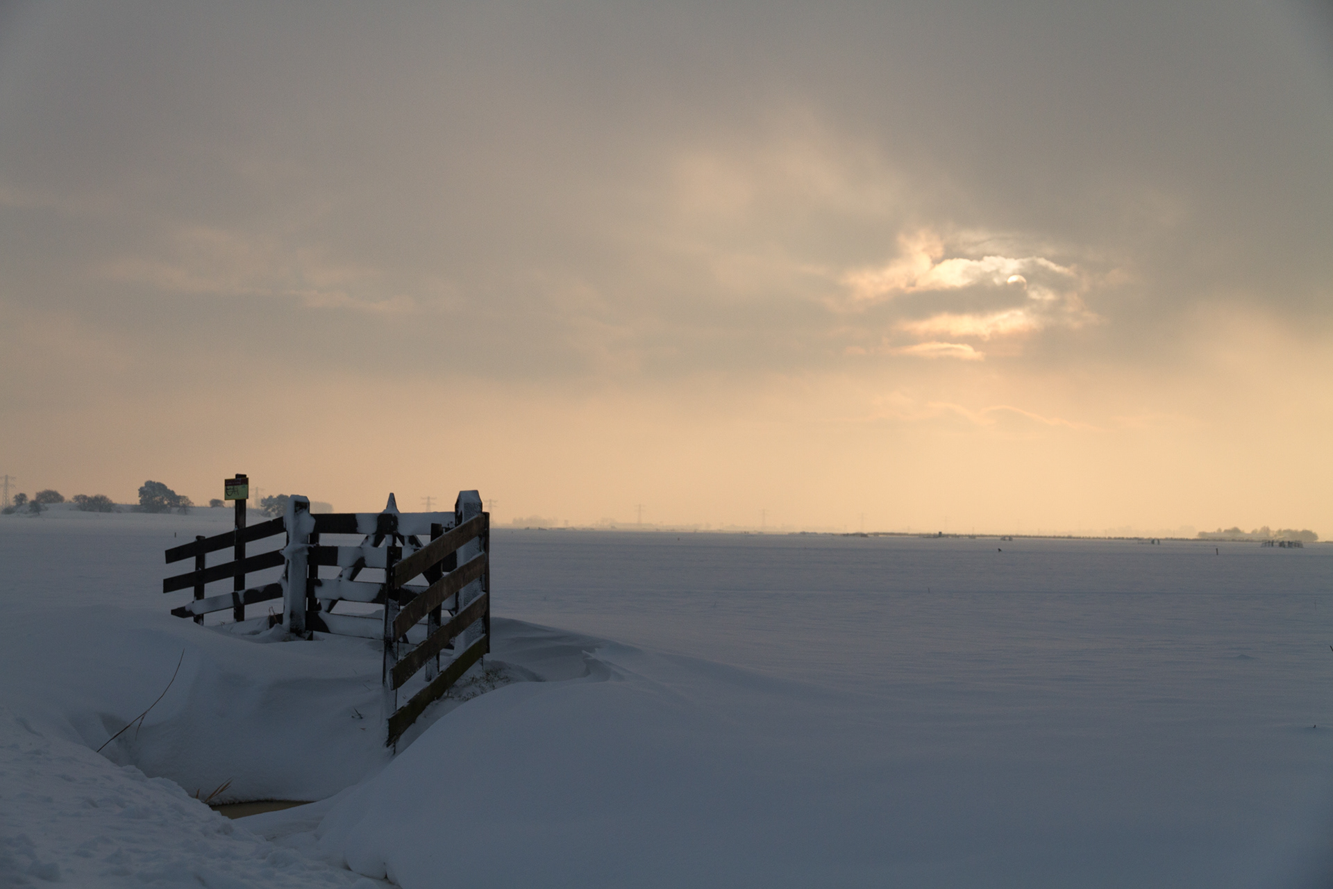 Zomaar een besneeuwd weiland op een winterdag.