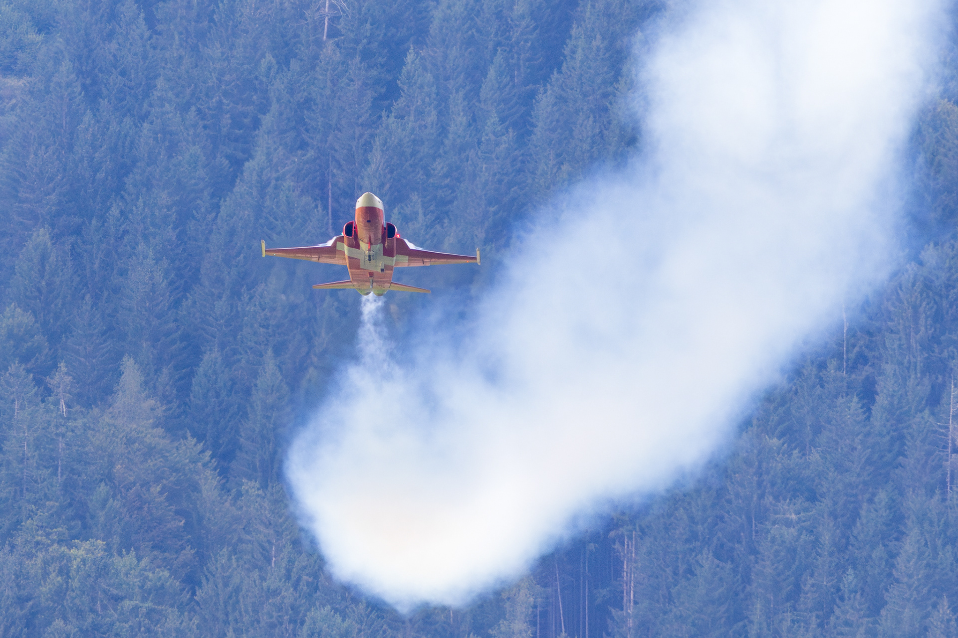 F-5 from Patrouille the Suisse during Airpower 24 at Zeltweg