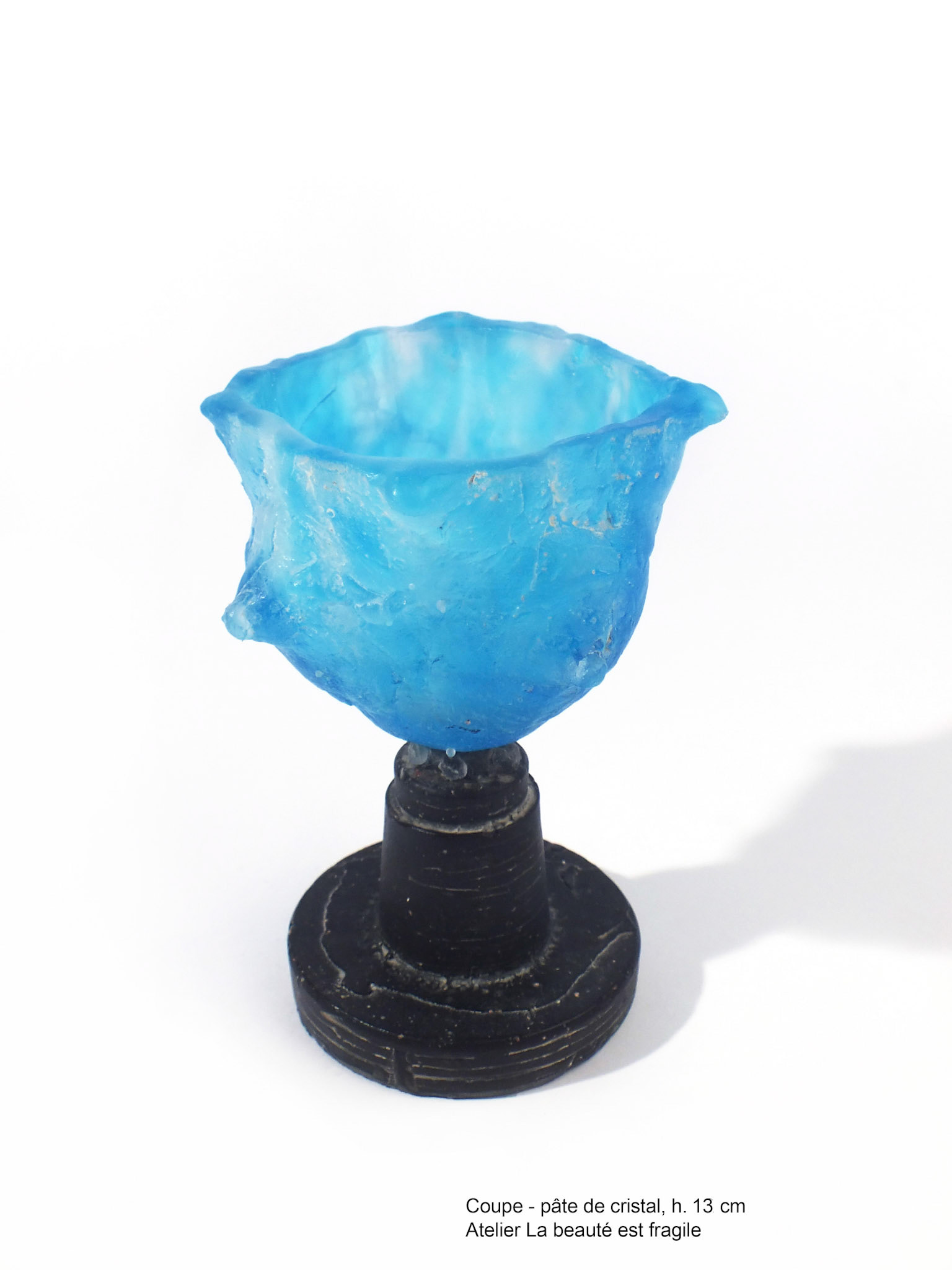 Coupe polymastos