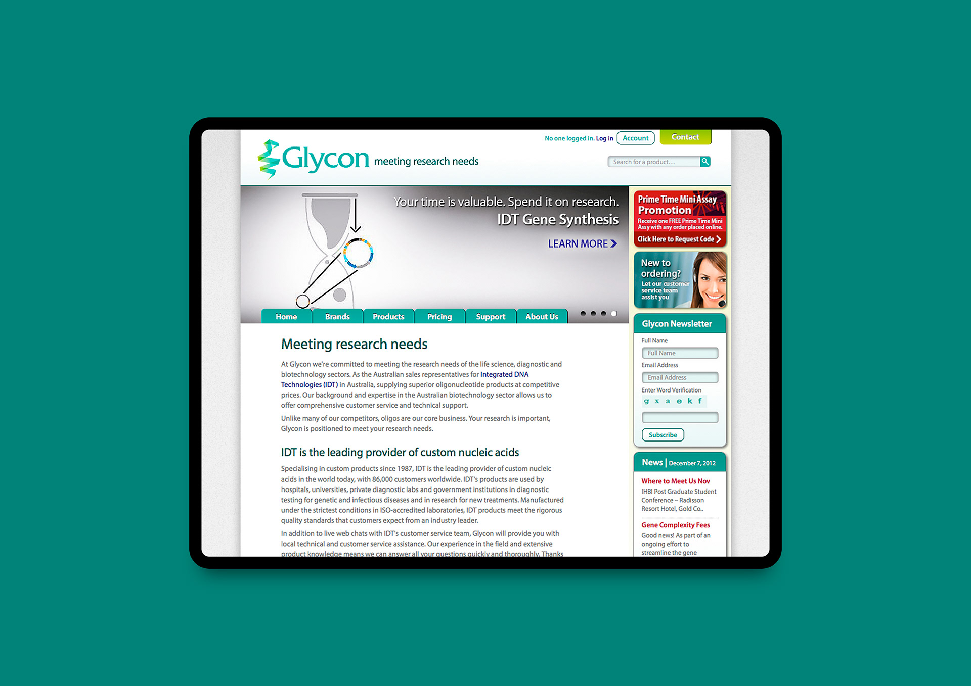 Homepage with navigation, product access, and structured layout.