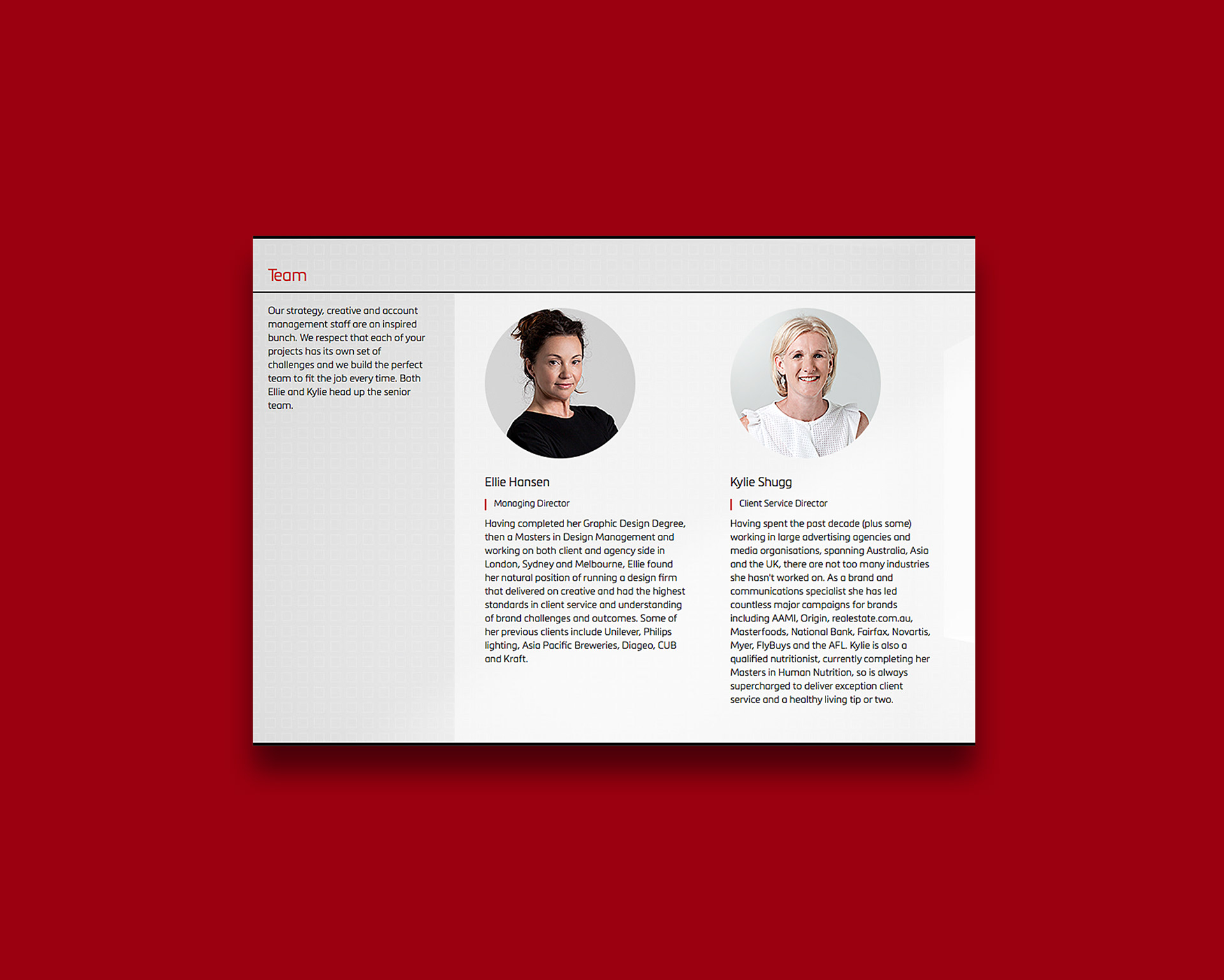 Team page showing structured profiles and role information.