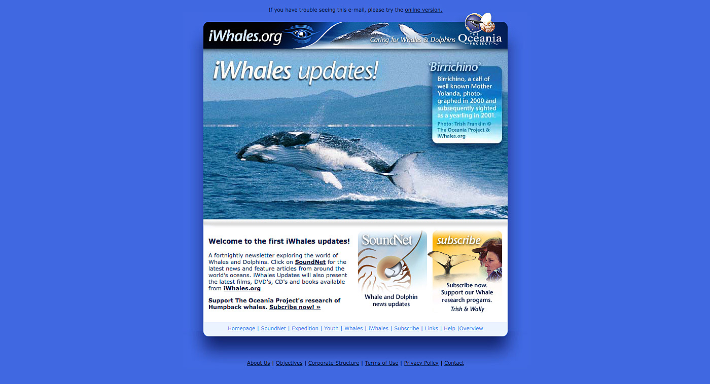 Email layout with structured content and campaign messaging.