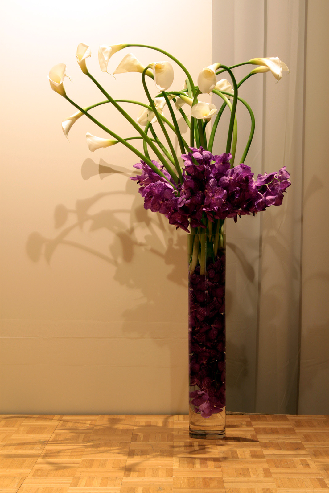shu uemura